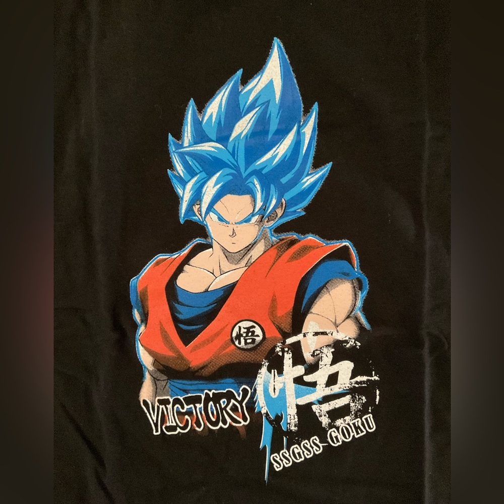 Goku Victory Graphic T-SHIRT